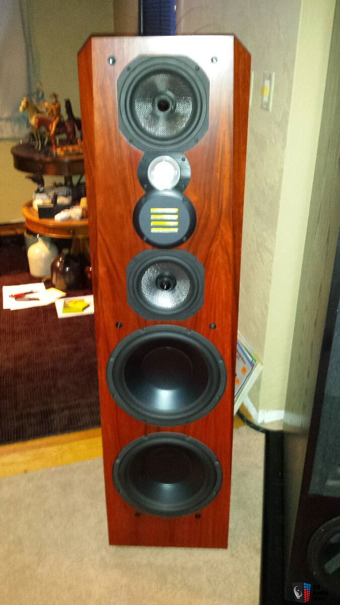 Legacy Focus SE in Rosewood Photo 1166641 US Audio Mart
