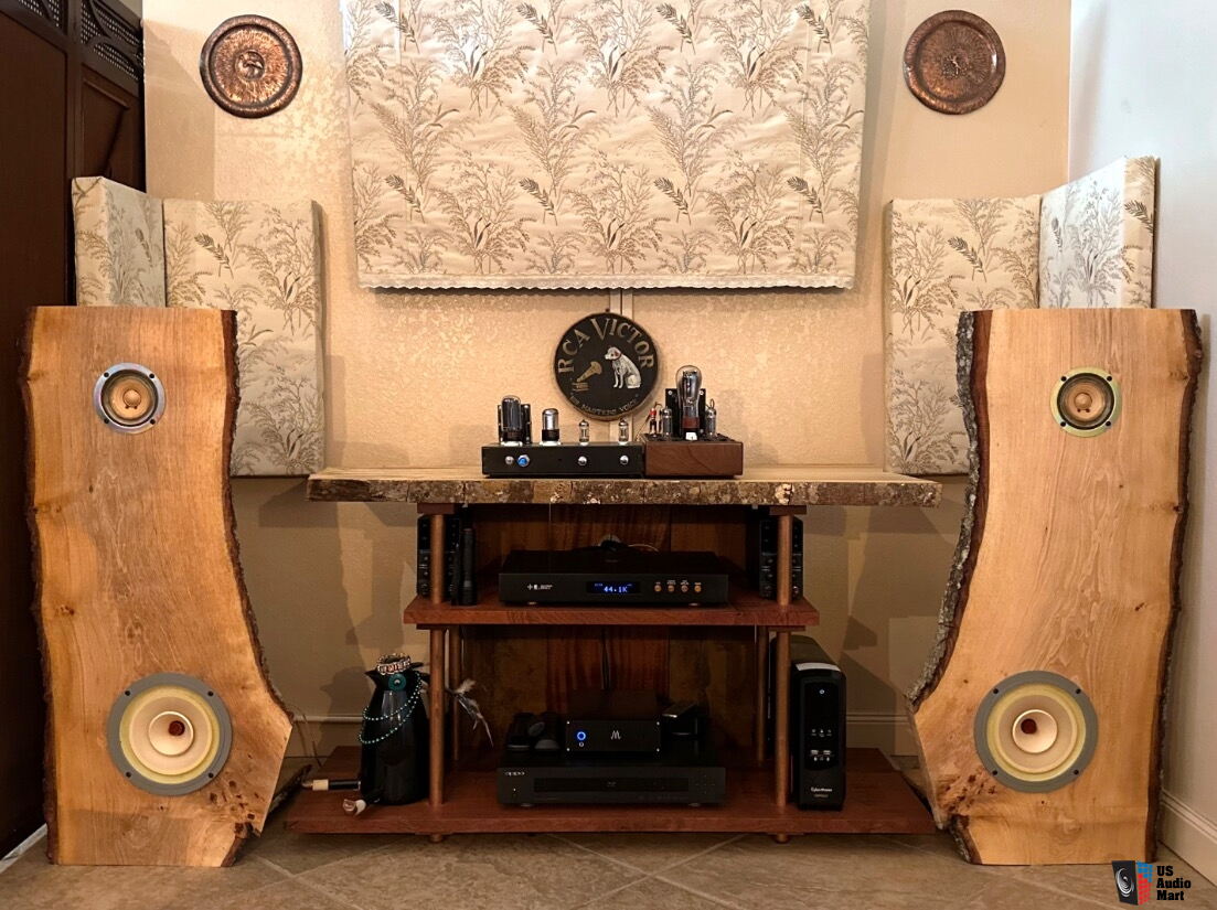 Live Edge Open Baffles With Coral Holey Basket And Lii Fast Drivers Photo US Audio Mart