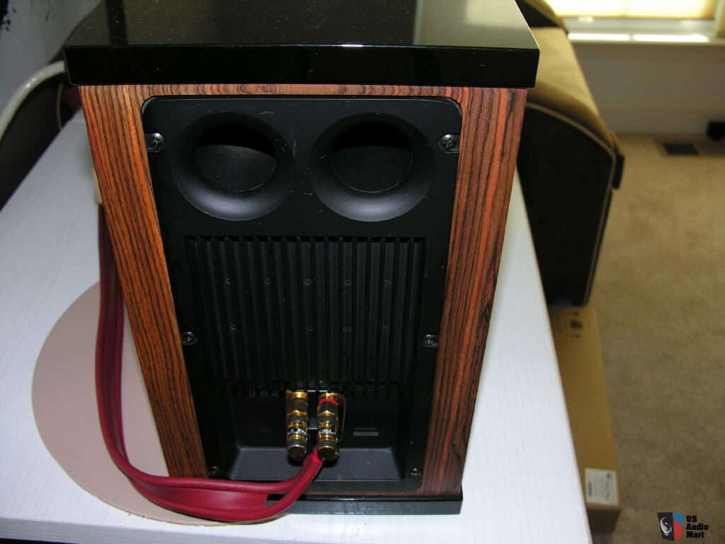 Platinum Audio Solo Loudspeaker Photo #630517 - US Audio Mart