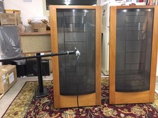 Martin Logan CLS II z Floor Standing 