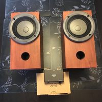 Fostex P1000E + Fe103en-Sol Full Range Speaker Pair, extra Ff105wk