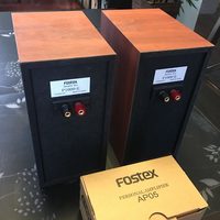 Fostex P1000E + Fe103en-Sol Full Range Speaker Pair, extra