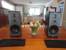 Dali Mentor II speakers VTI VSP stands - What Hifi 5 Stars - Orig $2500 with stands (Now including For Sale - US Audio Mart