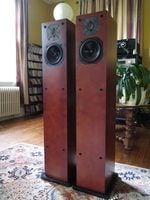 focal daline 3.1