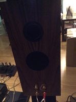 Custom Duntech Black Pearl Bookshelf Speakers Local Sale Photo