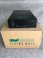 Flying Mole DAD-M100pro HT monoblock power amplifier For Sale 