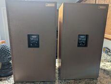 Onkyo E-213A Oak. Extremely rare in the U.S. Local Pickup 85379