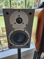 Dynaudio Audience 42 in great condition For Sale - US Audio Mart