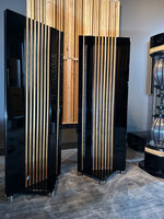 ALSYVOX Audio Design Botticelli X full range ribbon-planar
