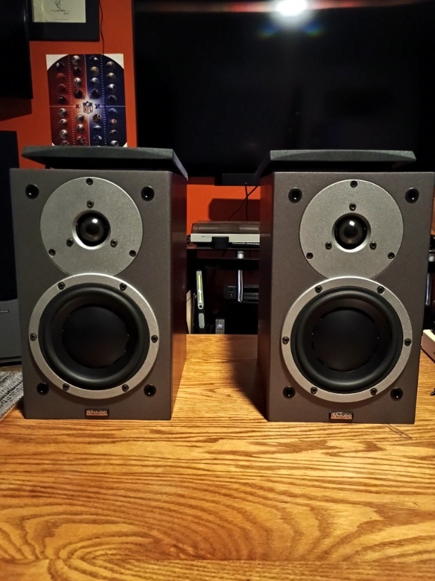 Used Dynaudio Audience 42 Center speakers for Sale | HifiShark.com
