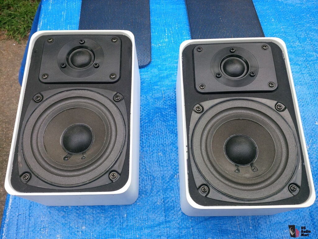 1049772-611c2489-realistic-minimus-77-speakers-refoamed.jpg