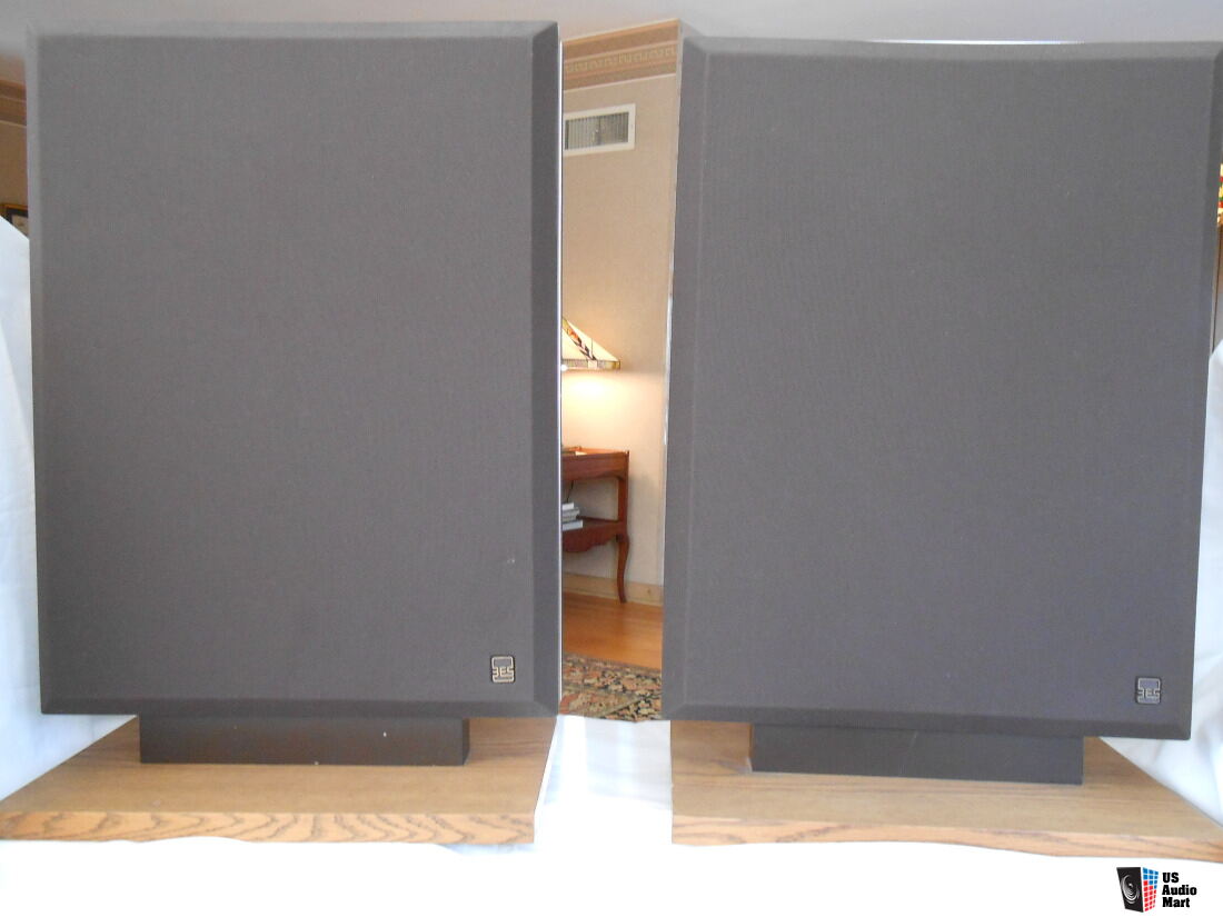 Bertagni Electroacoustic Systems (BES) SM-100 Speakers