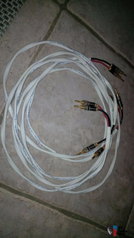Blue Jeans 8ft. feet Speaker Cables 