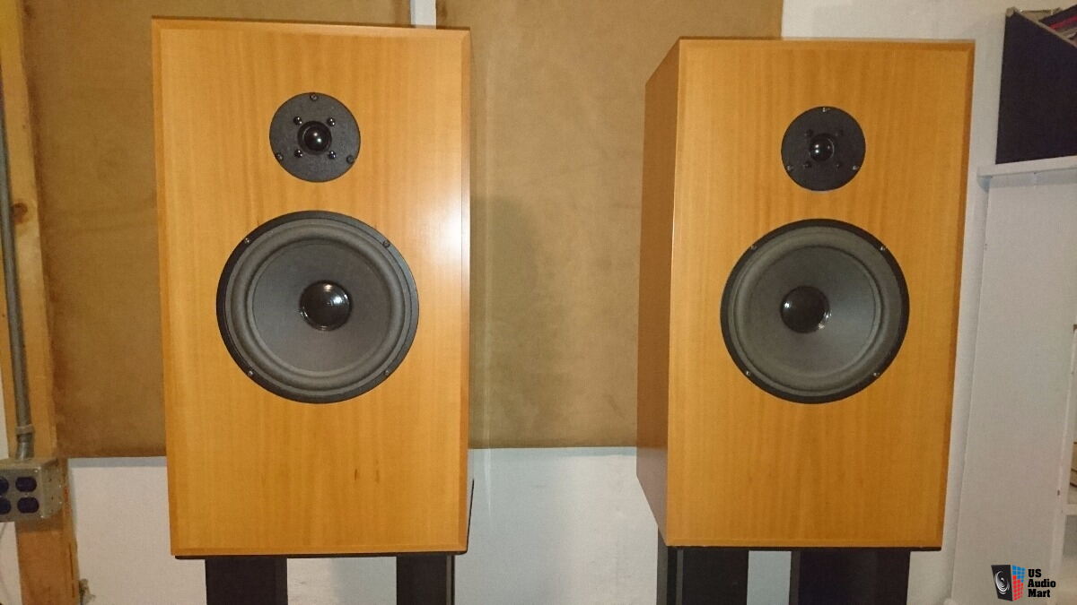 Audio Note AN-J Spe speakers Pearwood w 