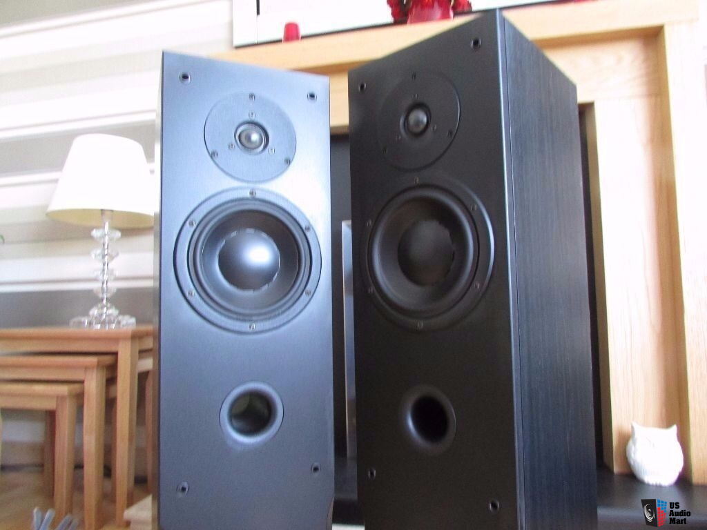 dynaudio audience 60