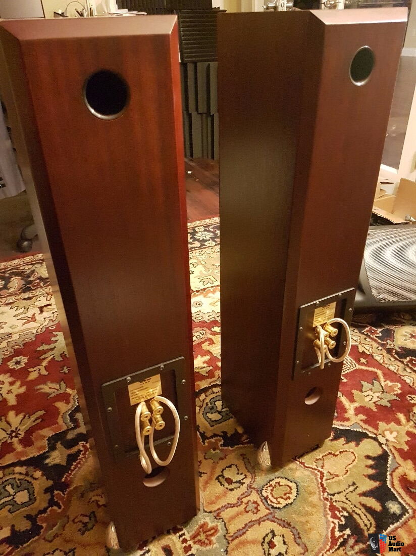 Totem HAWK Pair Need To Sell Quickly Photo 1447030 US Audio Mart