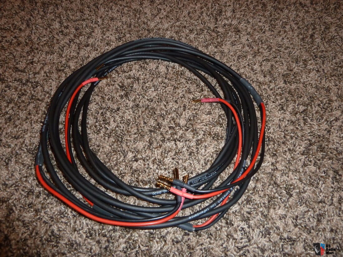 dynaudio ocos speaker cable