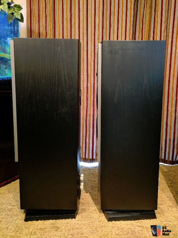 DALI Mentor floor standing speakers in black drop For Sale - US Audio Mart