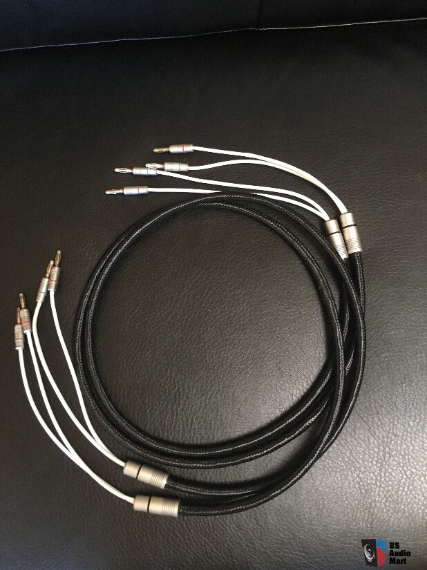 Stereovox LP 600 Speaker Cables 5ft (60 inch) pair Photo #1662777 - US ...