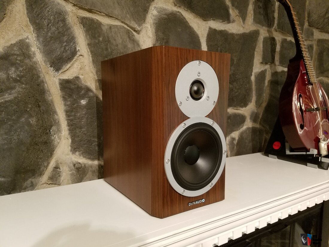 Dynaudio Excite X14 - Mint - Walnut - free shipping Photo #1684460