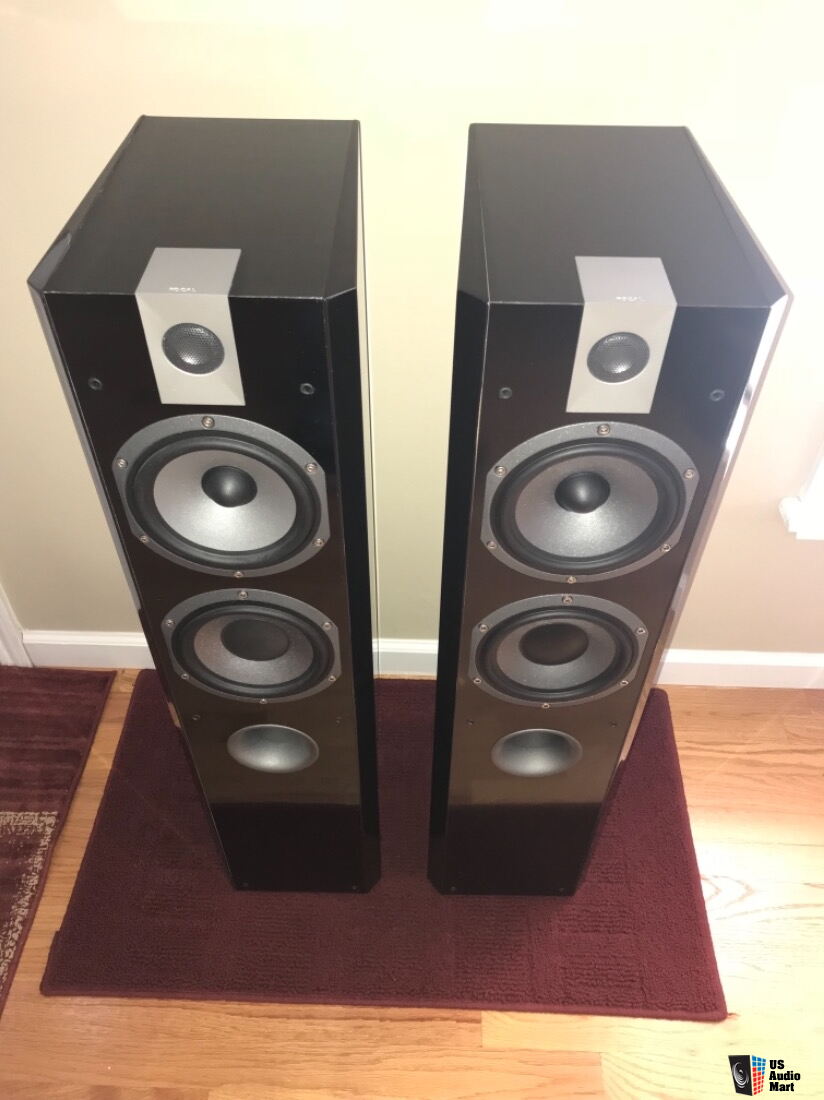 focal 814v