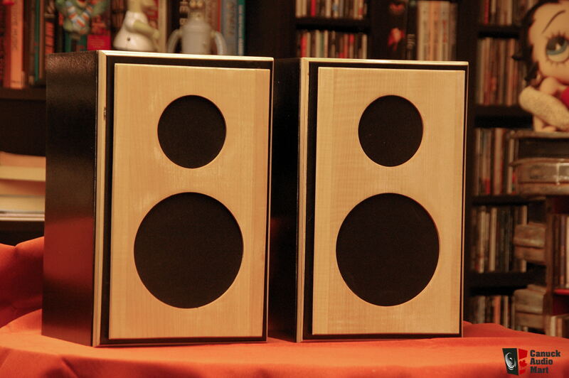 Dynaudio Diy Bookshelf Speakers Photo 1865926 Us Audio Mart