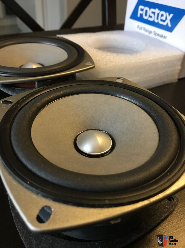 Fostex P1000E + Fe103en-Sol Full Range Speaker Pair, extra Ff105wk