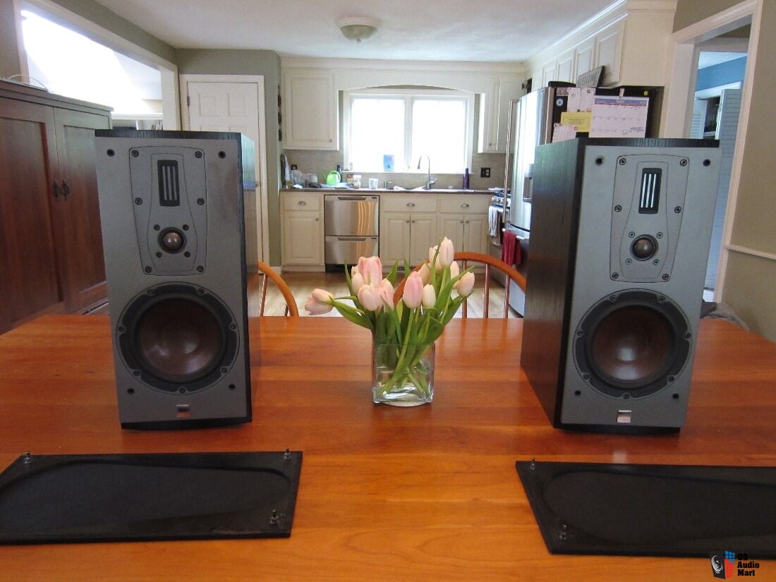 Dali II speakers VTI VSP stands - What Hifi 5 Stars - Orig $2500 with stands (Now including Photo #1883529 - UK Audio Mart