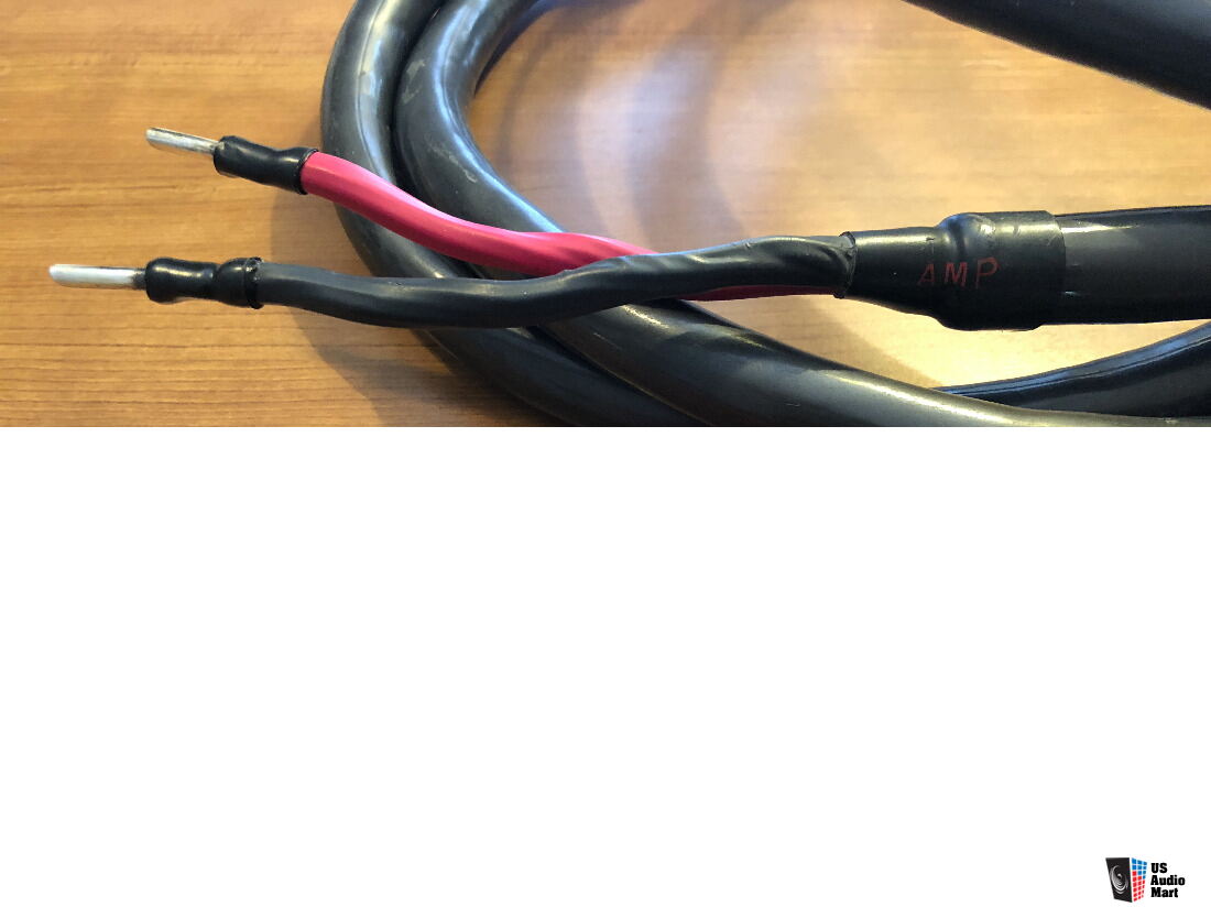 Audioquest Dragon Speaker Cable Photo 1894946 US Audio Mart