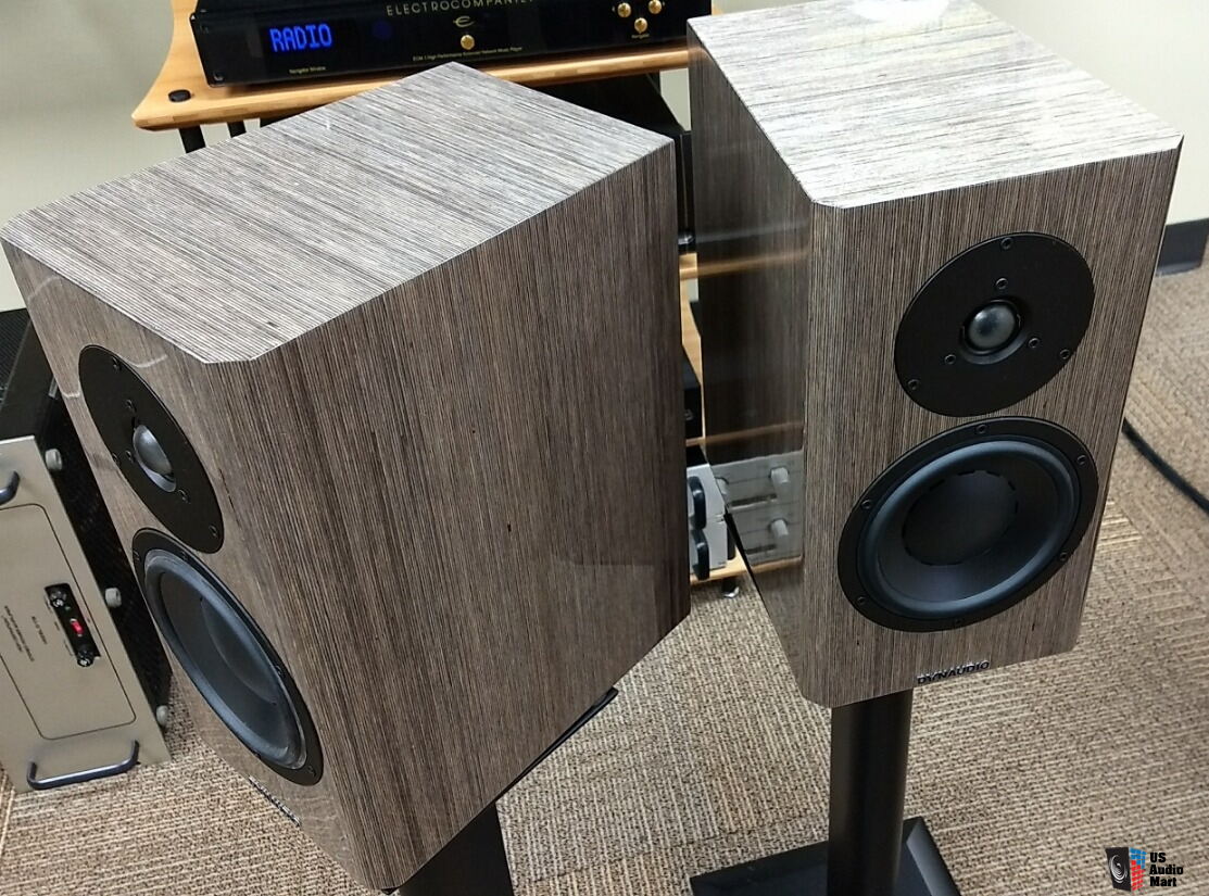 dynaudio special 40 grey birch