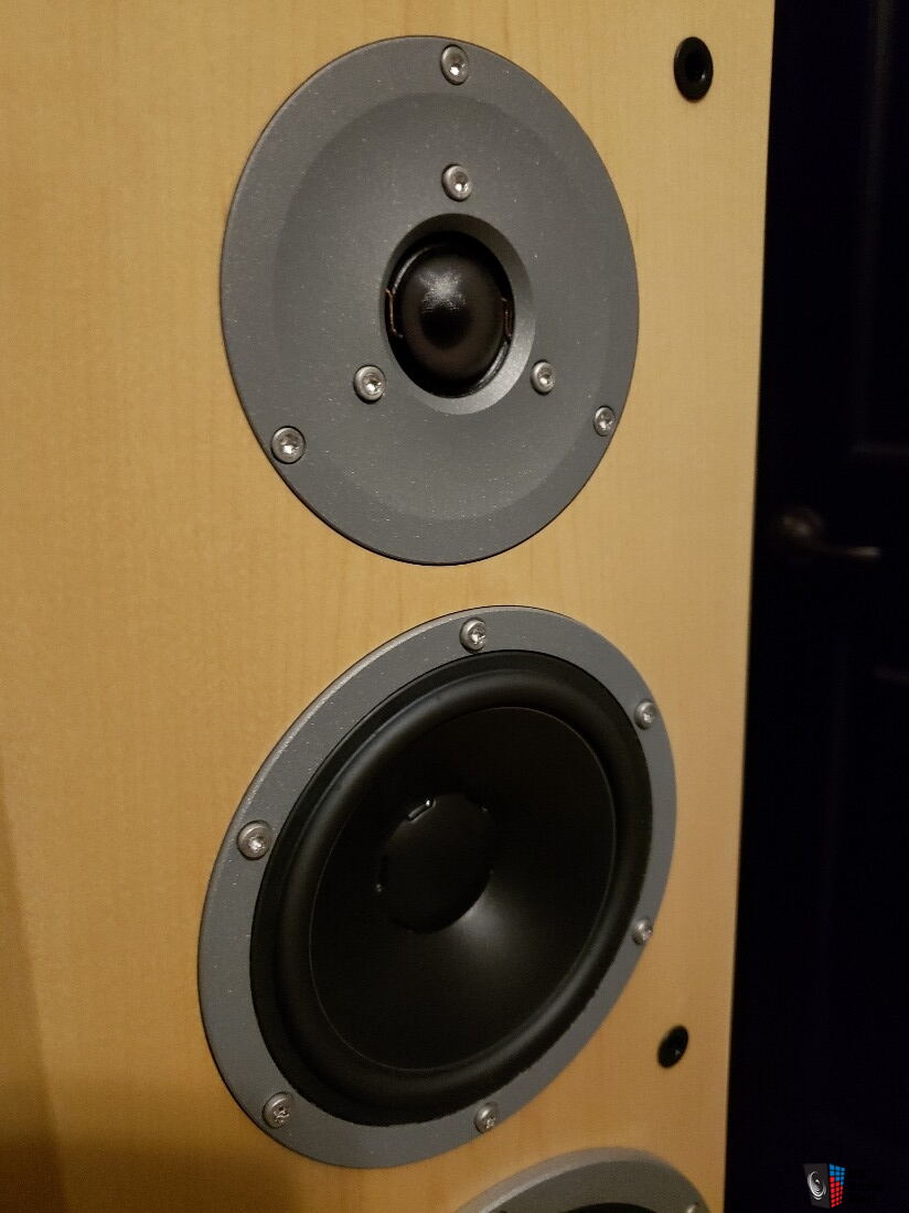 Dynaudio Focus 380 Maple, ask about BONUS! Photo #2180400 - US Audio Mart