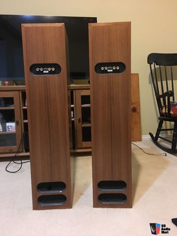 budget line array speakers