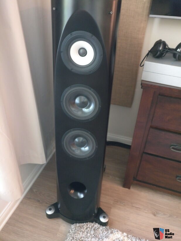 Pioneer TAD S-1EX Floorstanding Speakers For Sale - US Audio Mart
