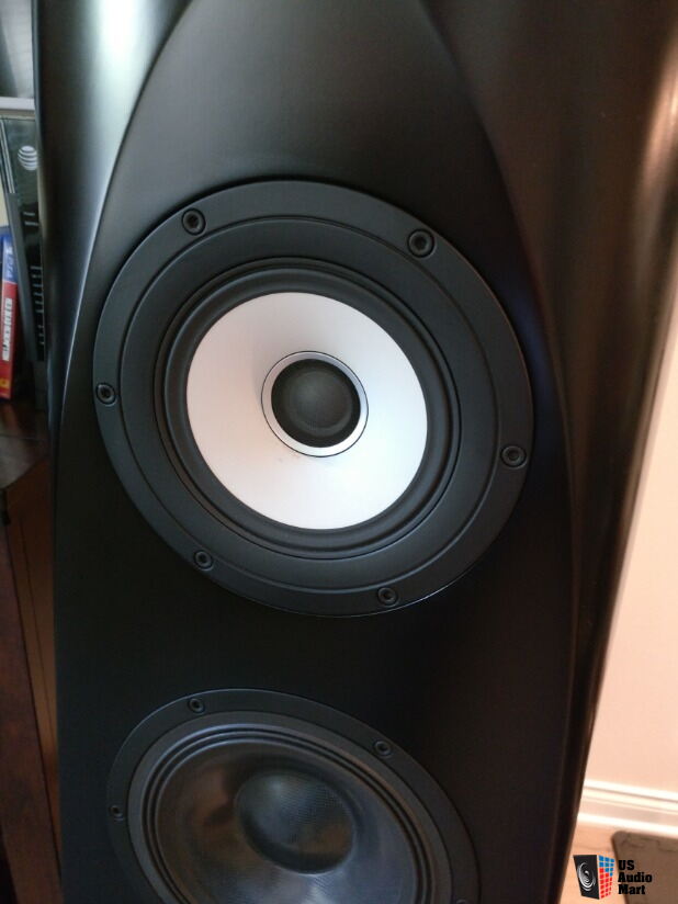 Pioneer TAD S-1EX Floorstanding Speakers For Sale - US Audio Mart