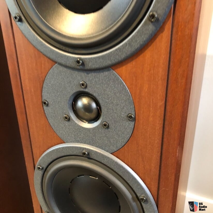 Dynaudio Contour T2.5 Photo #2264192 - US Audio Mart