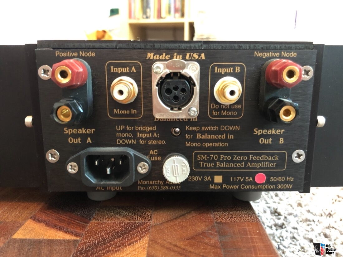 Monarchy Audio SM-70 PRO, pair of balanced mono block amps Photo