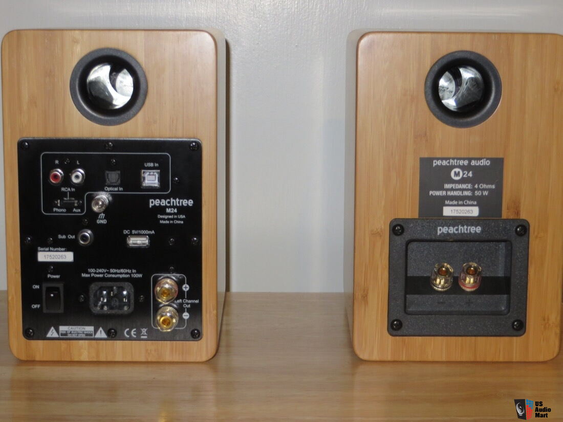 Peachtree Audio M24 Powered Speakers Bamboo Photo 2293451 US Audio
