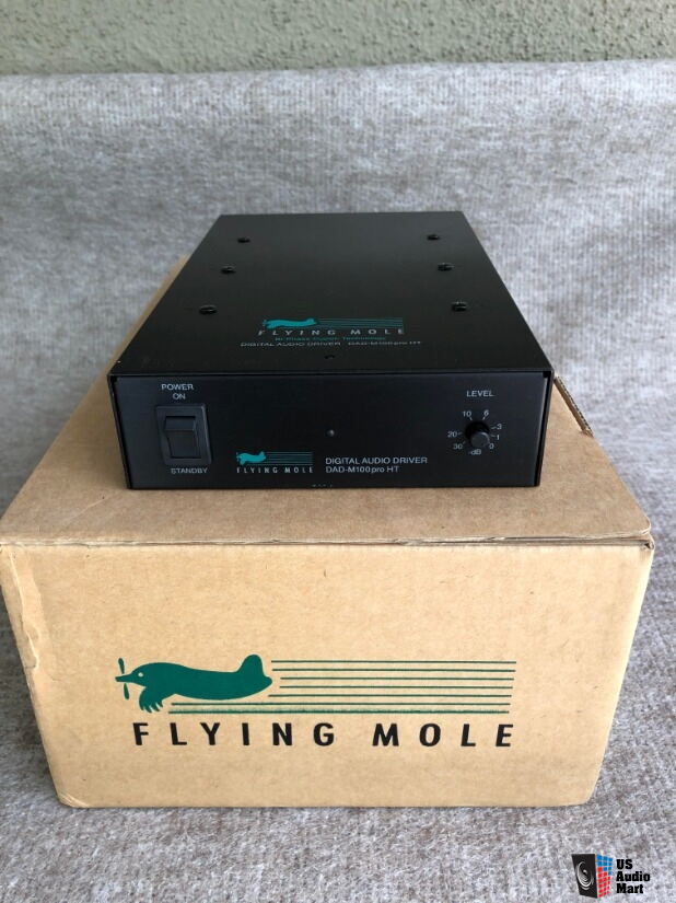 Flying Mole DAD-M100pro HT monoblock power amplifier For Sale - US