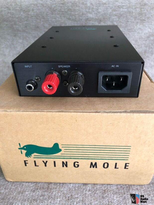 Flying Mole DAD-M100pro HT monoblock power amplifier For Sale - US