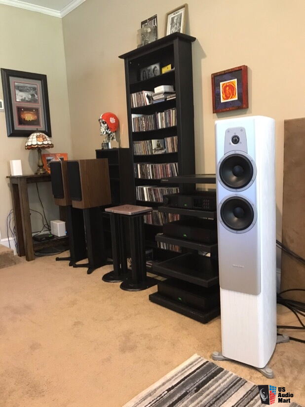 dynaudio contour 30 ivory oak