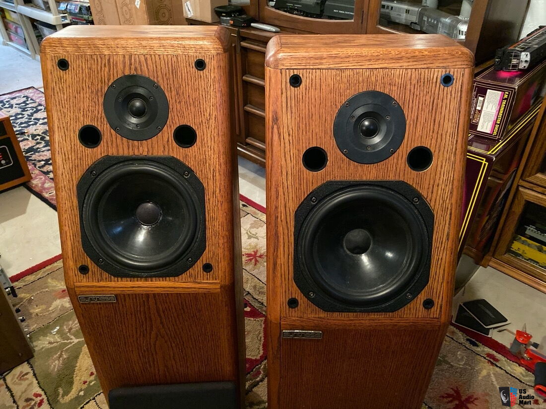 Conrad Johnson Synthesis LM260 Speakers Photo 2507826 US Audio Mart