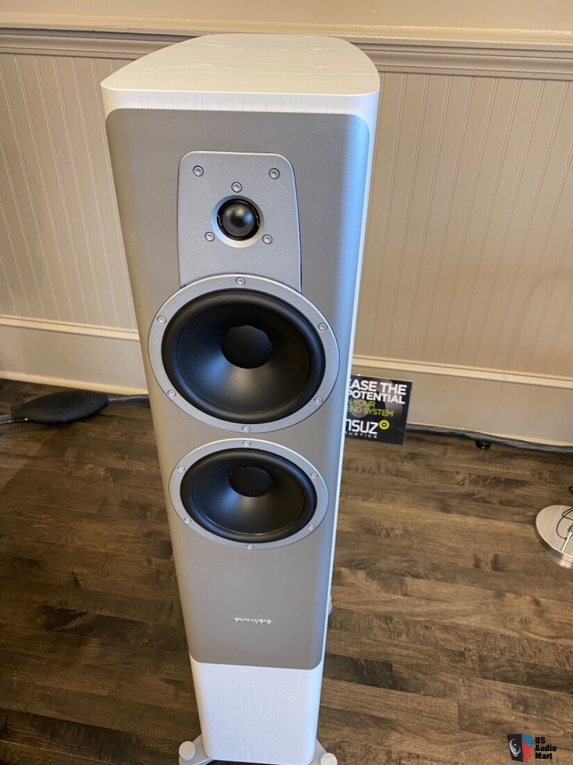 dynaudio contour 30 ivory oak