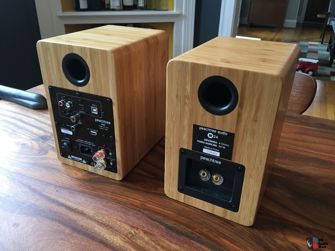 Peachtree Audio M24 Powered Speakers Photo 2651074 US Audio Mart