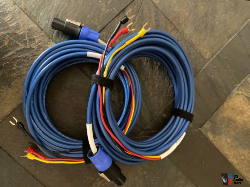REL Acoustics Baseline Blue Hi Level Subwoofer Cable