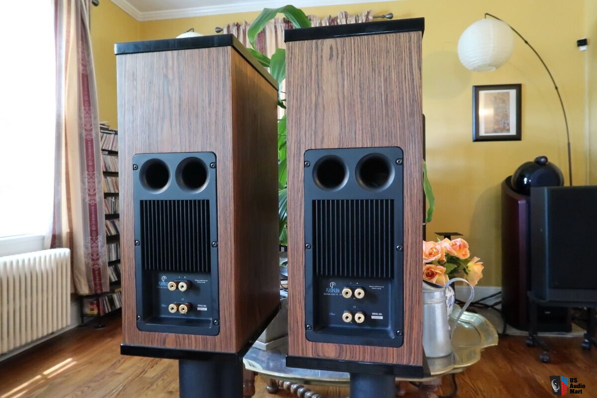 Platinum Audio Duo Speakers Audiophile Grade Phil Jones Design Solo AE ...