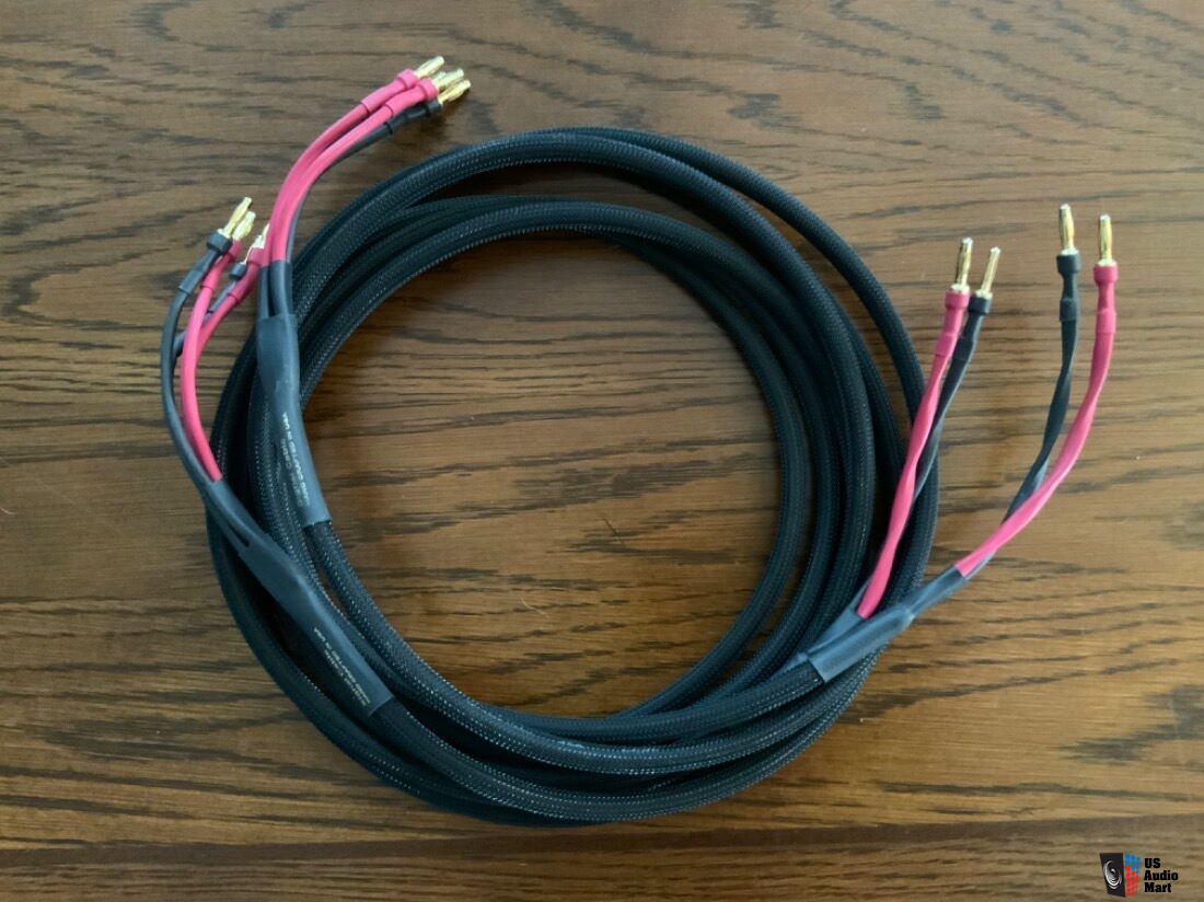 Signal cable classic speaker cable 8' biwire pair For Sale US Audio Mart