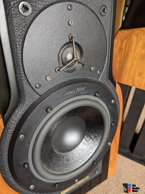 sonus-faber-extrema-speakers-with-six-pillar-stands-photo-2958741-uk