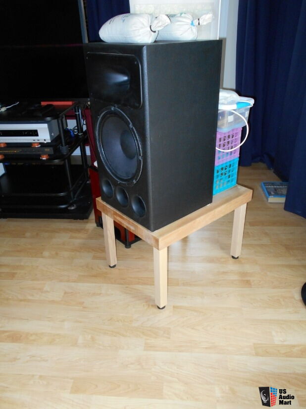 A Pair Of Diy Sound Group Fusion 12 Speakers For Sale Us Audio Mart