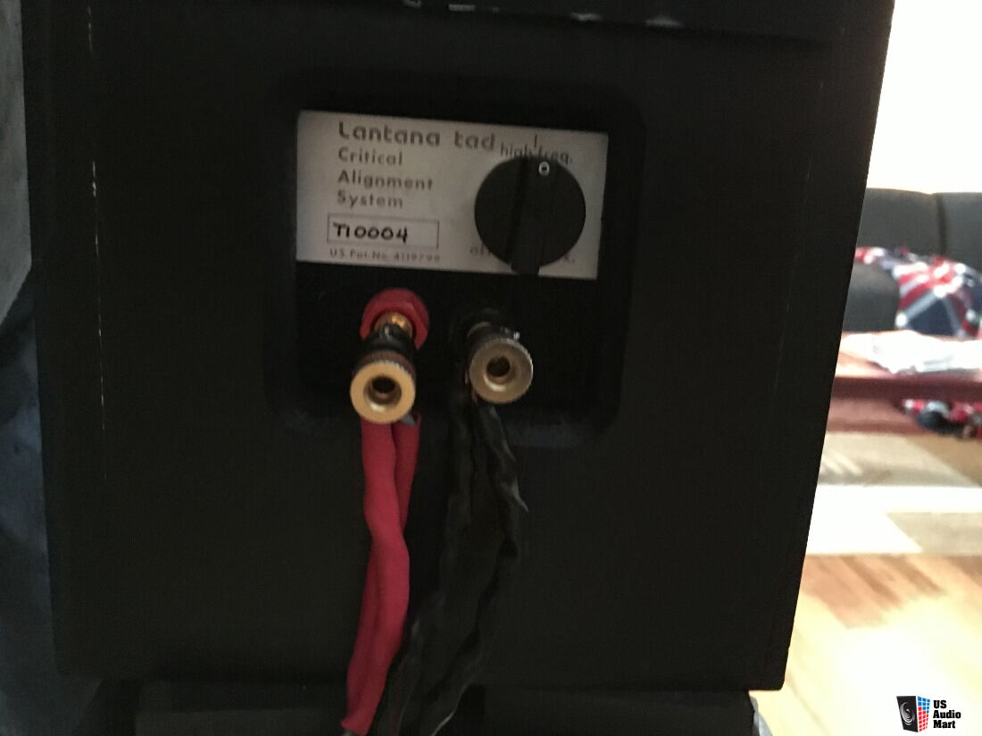 Lantana Tads (Qysonic Spree) speakers Photo #3185874 - US Audio Mart