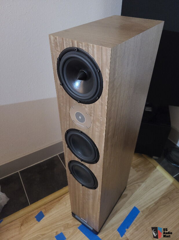 aural envelope ex300 floor standing speakers